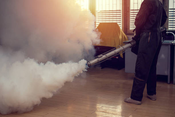 traitement-fumigation-punaises-de-lit traitement-fumigation-punaises-de-lit